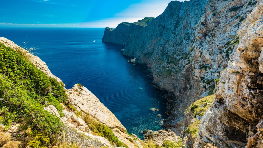 Green Spain: Exploring Eco-Friendly Travel Tips in Spain (Mallorca, Valencia, Seville, and Tenerife) Gotripscan Green Spain: Exploring Eco-Friendly Travel Tips in Spain (Mallorca, Valencia, Seville, and Tenerife)