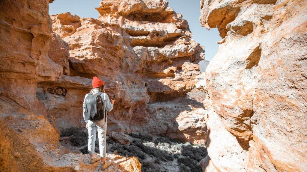 Green Spain: Exploring Eco-Friendly Travel Tips in Spain (Mallorca, Valencia, Seville, and Tenerife) Gotripscan Tenerifa