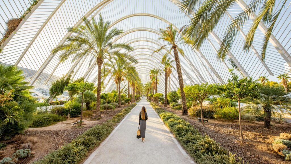 Affordable Explorations: Mastering Budget-Friendly Travel in Spanish Cities Gotripscan Valencia