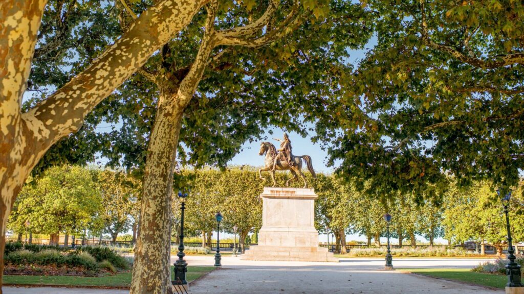 Montpellier Gotripscan Montpellier
